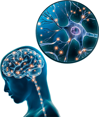 The Brain Song